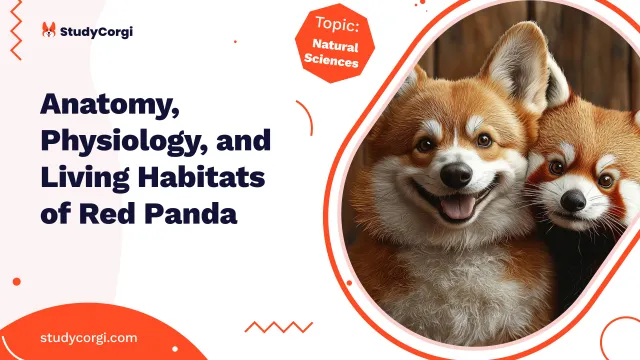 Anatomy, Physiology, and Living Habitats of Red Panda