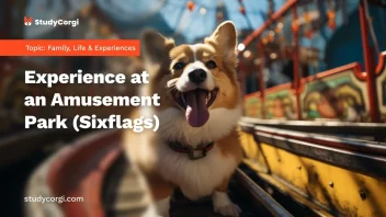 Experience at an Amusement Park (Sixflags)