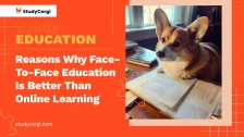 Reasons Why Face-To-Face Education Is Better Than Online Learning