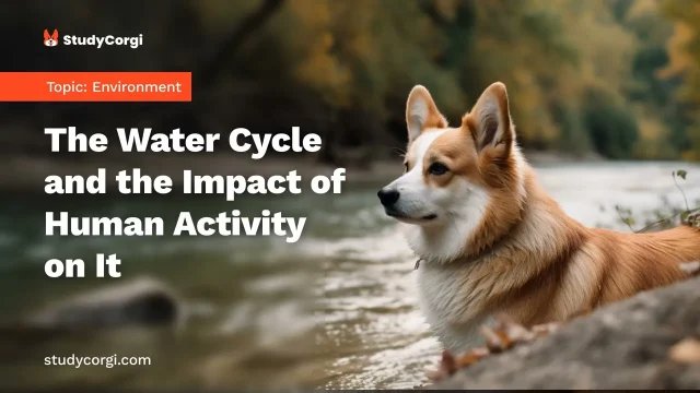 The Water Cycle and the Impact of Human Activity on It