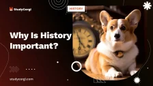 Why Is History Important?