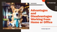 Advantages and Disadvantages Working from Home or Office