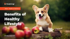 Benefits of Healthy Lifestyle