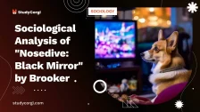 Sociological Analysis of “Nosedive: Black Mirror” by Brooker