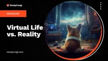 Virtual Life vs. Reality