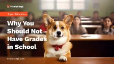 Why You Should Not Have Grades in School