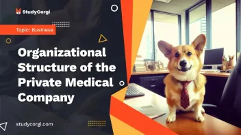 Organizational Structure of the Private Medical Company