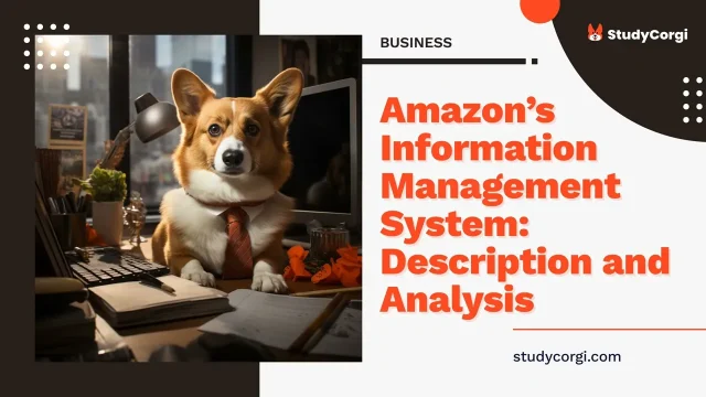 Amazon’s Information Management System: Description and Analysis