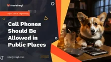 Cell Phones Should Be Allowed in Public Places