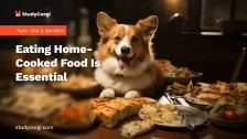Eating Home-Cooked Food Is Essential