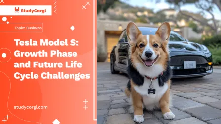 Tesla Model S: Growth Phase and Future Life Cycle Challenges
