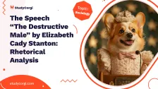 The Speech “The Destructive Male” by Elizabeth Cady Stanton: Rhetorical Analysis