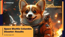 Space Shuttle Columbia Disaster: Results