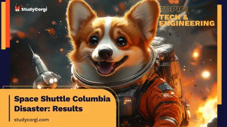 Space Shuttle Columbia Disaster: Results