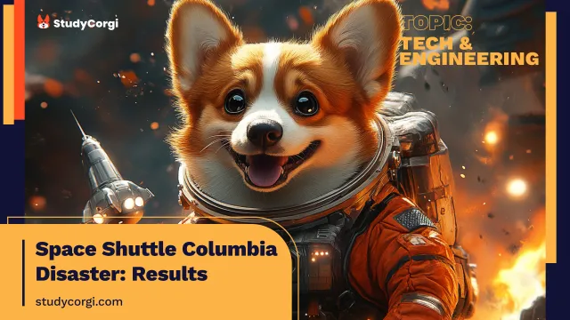 Space Shuttle Columbia Disaster: Results