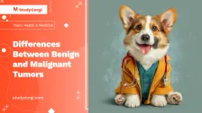 Differences Between Benign and Malignant Tumors