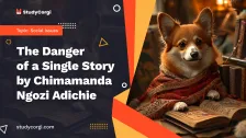 The Danger of a Single Story by Chimamanda Ngozi Adichie