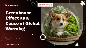 Greenhouse Effect as a Cause of Global Warming