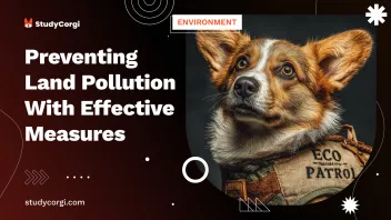 Preventing Land Pollution With Effective Measures
