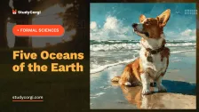 Five Oceans of the Earth