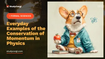 Everyday Examples of the Conservation of Momentum in Physics